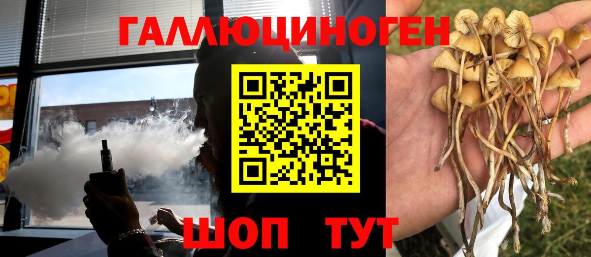 Сорочинск  Галлюциногенные грибы Magic Shrooms  Вход с VPN 