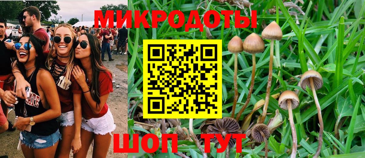 Псилоцибиновые грибы мухоморы Сорочинск